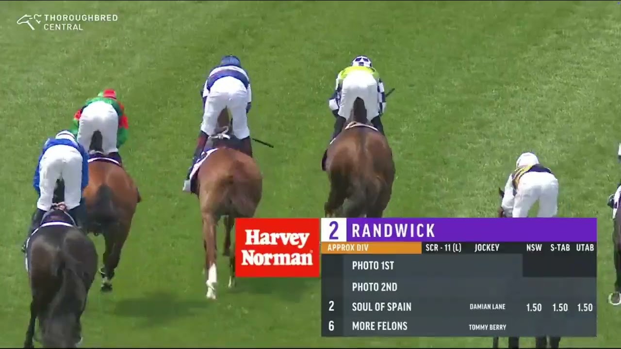 2025 ATC St Leger: Exciting Group 3 Race at Randwick with $500K Prize 💥