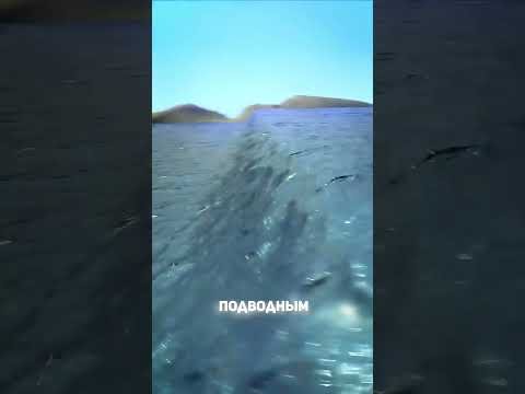 Разрушительное цунами 2004 года 😔 #факты #facts #цунами #tsunami #море #остров #полезное #будьлучше