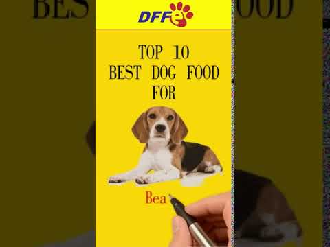 Top 10 Dog Foods for Beagles 🐶 | Buying Guide
