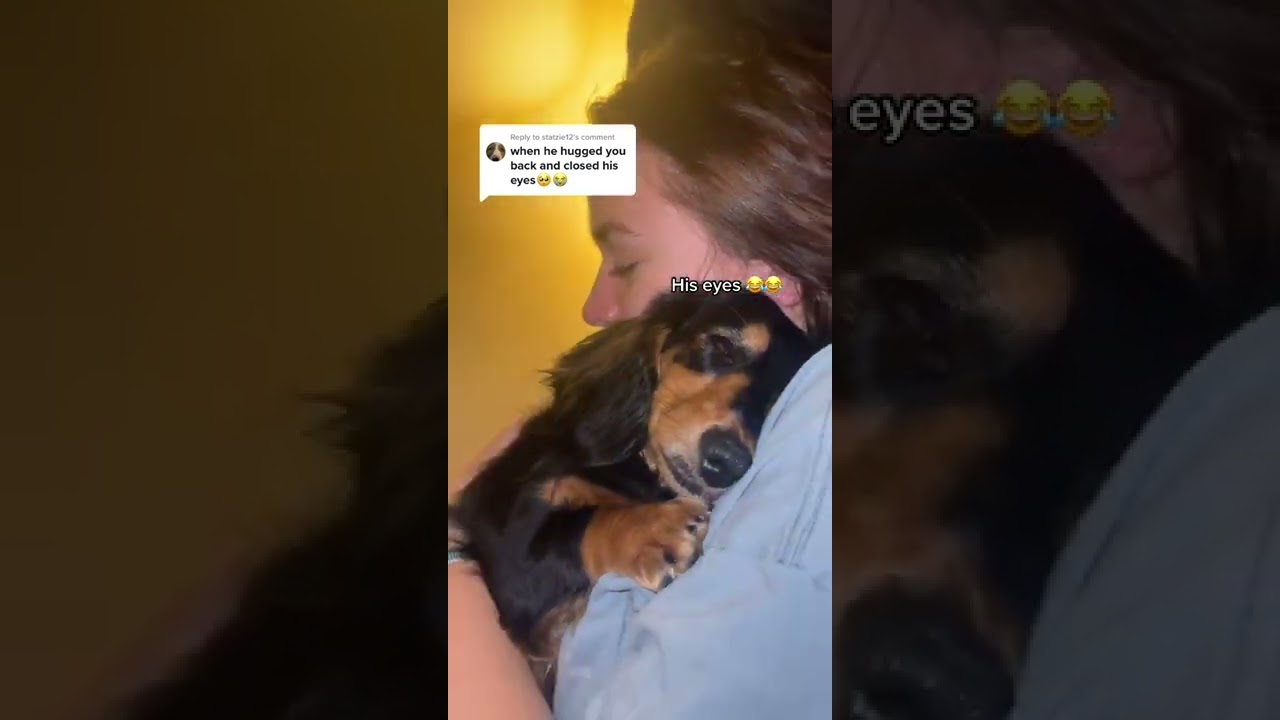 Woman Cuddles with Pup, He Hugges Back! 🐶
