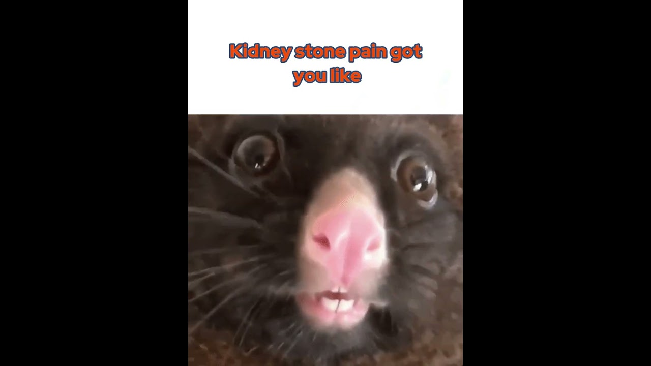 Kidney Stone Pain: It’s a Different Level 💥