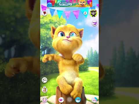 TomTalkingcat#funnyvideo#talkingtom#plzdosuporrtmychanlfriends#viralclips#youtube#http💕💞💕