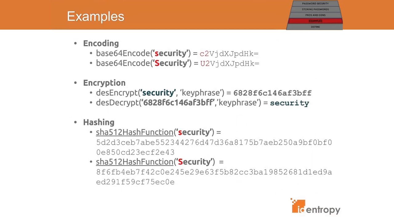 Identity 101: Mastering Passwords, Hashing & Encoding 🔐
