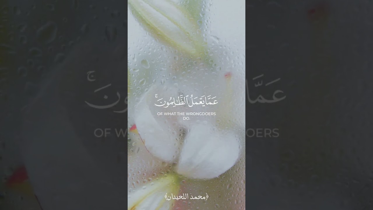 ﴿ولا تحسبن اللًه غافلا﴾ محمد اللحيدان حالات واتس تلاوة قرآن