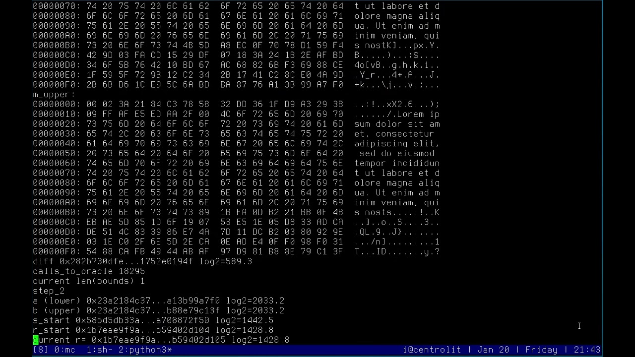 D. Bleichenbacher Attack on RSA PKCS#1.5 🔐
