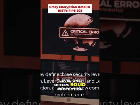 In-Depth Analysis of NIST's FIPS 203 Encryption Standards