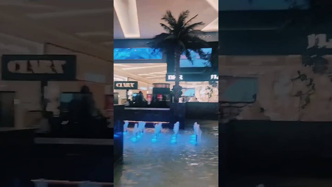 Habibi Official: Your Go-To Short Video Hub 🎥