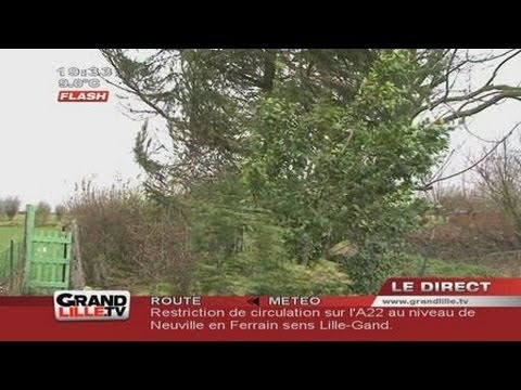 Avis de tempête dans le Nord !