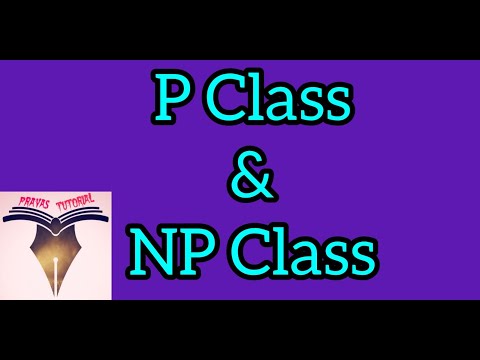 Complexity Theory | P Class | NP Class (C87)