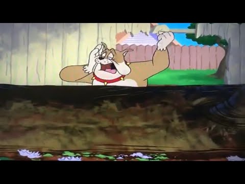 Spike Bulldog Crying