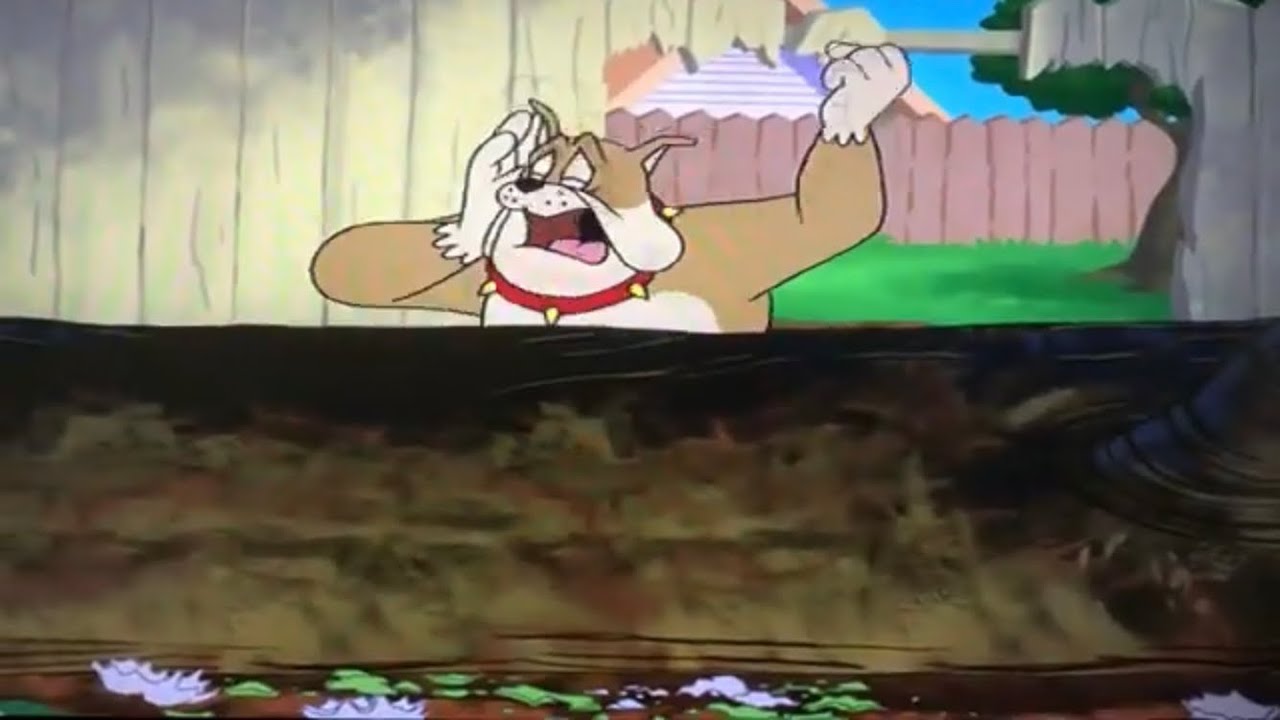 Spike Bulldog Crying in Tom & Jerry Mars Adventure