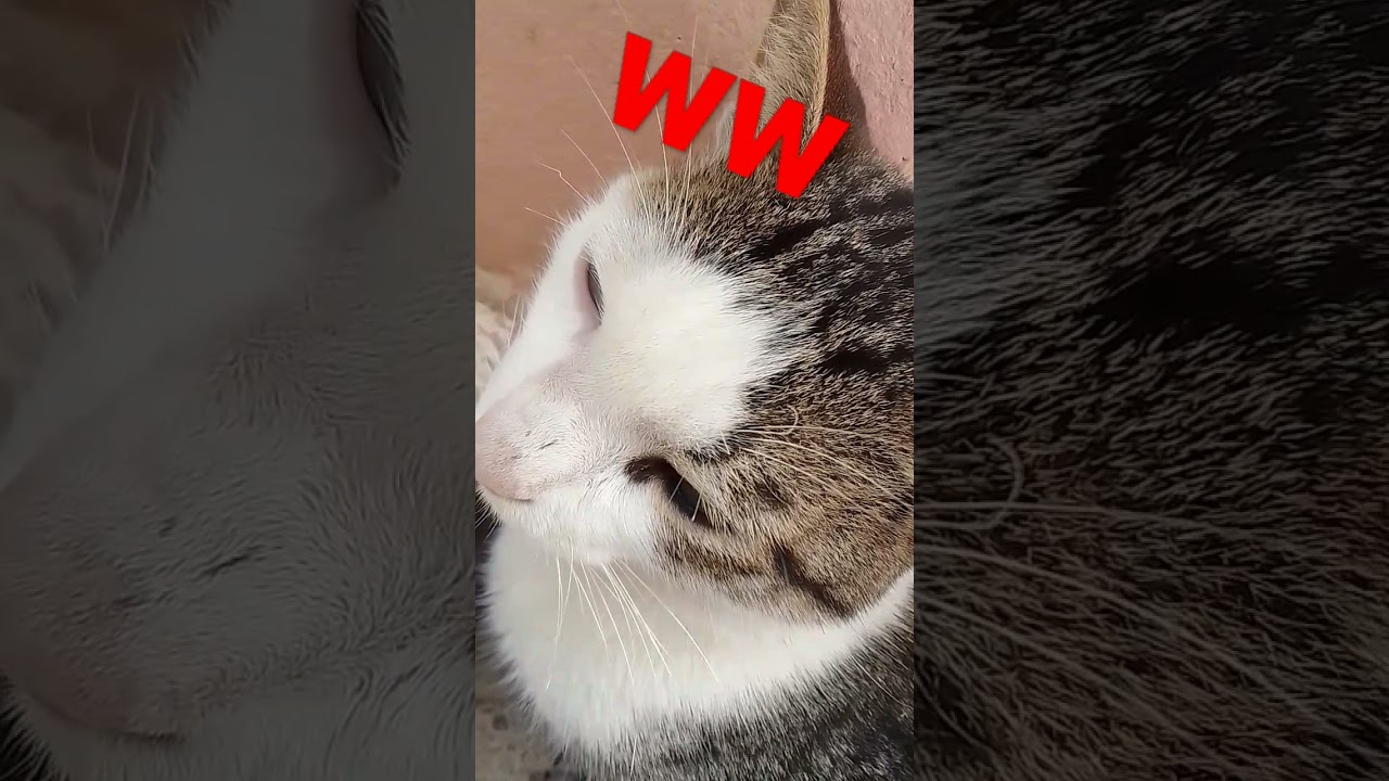 28 Décembre 28, 2021: Événements clés