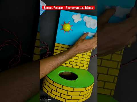 Photosynthesis 3D Model | science project #shorts