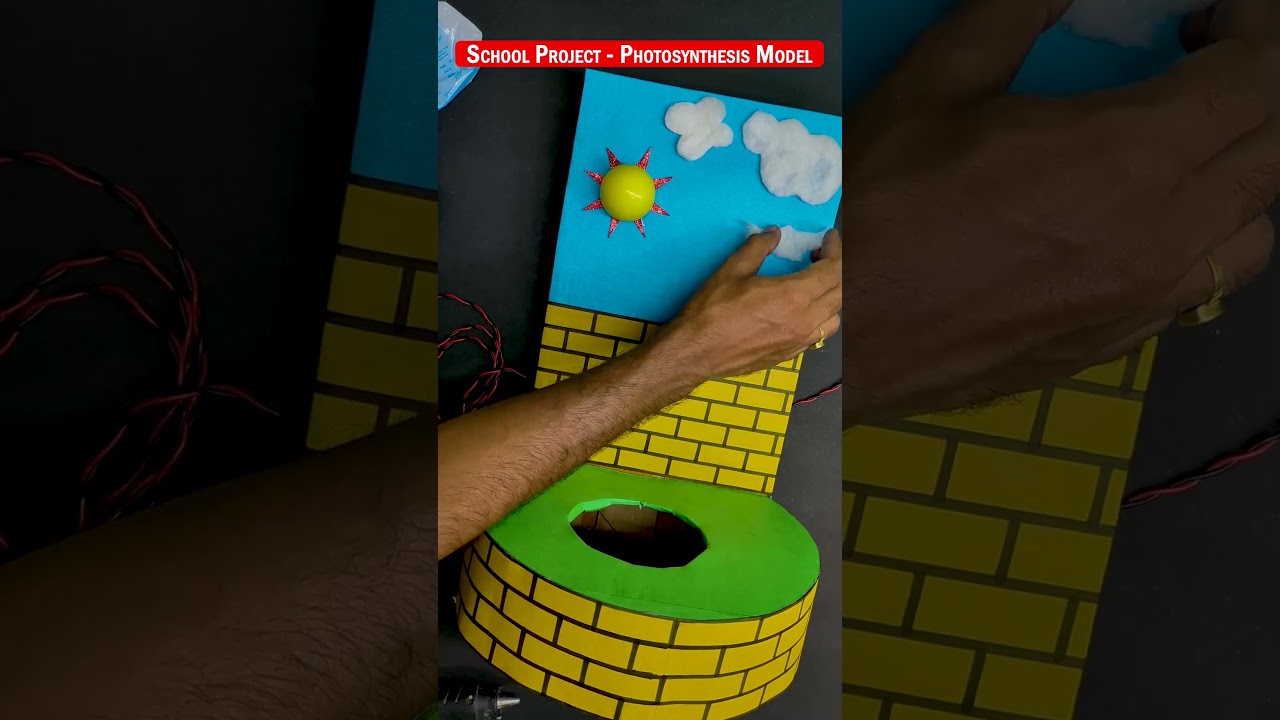 3D Model of Photosynthesis | Science Project