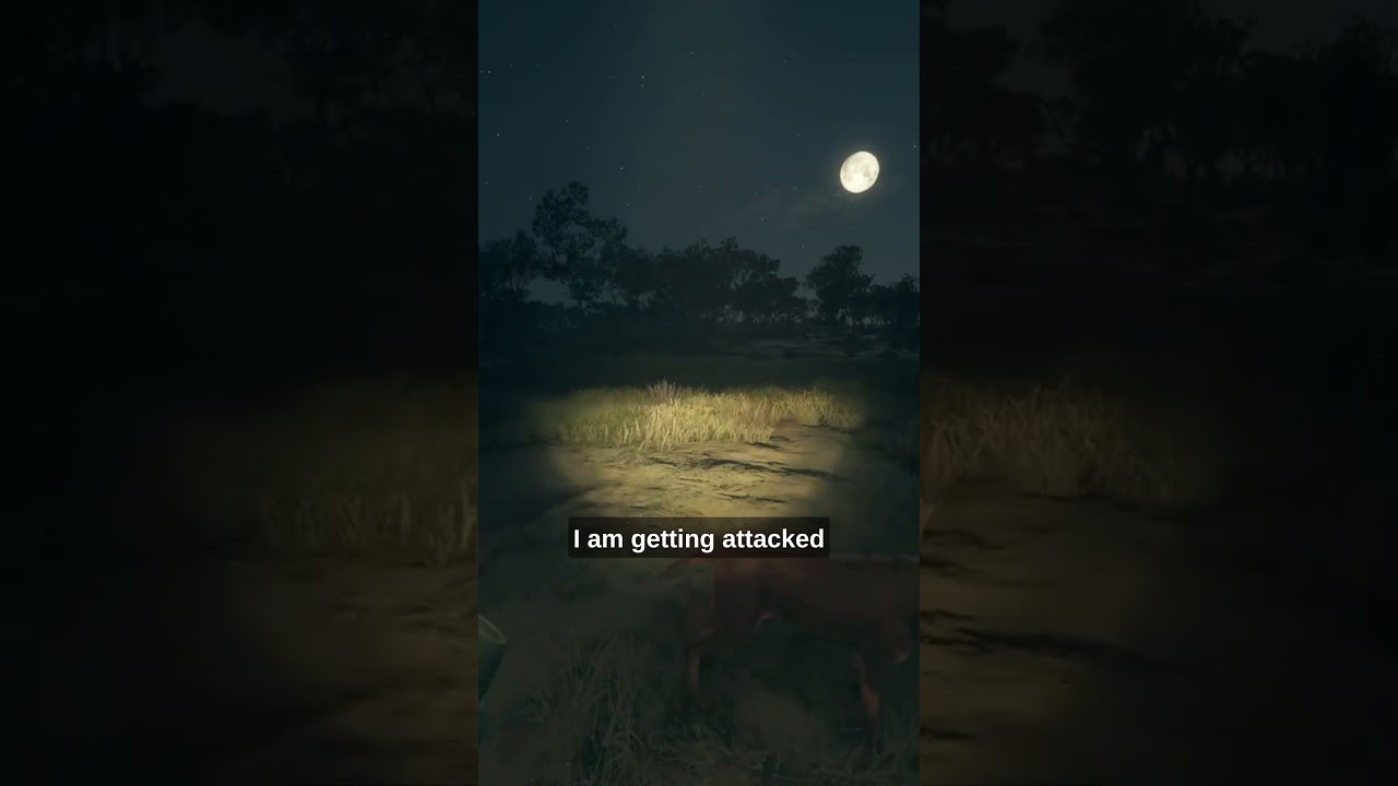 Dream Diamond & New Content in The Hunter 🌊