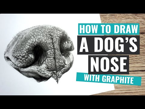 How to Draw a Dog's Nose | Realistic Graphite Pencil Drawing Tutorial