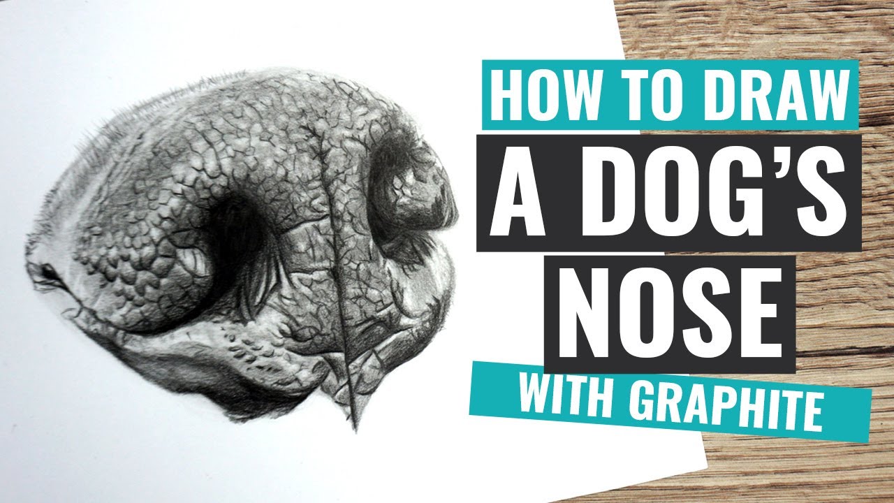 How to Draw a Dog's Nose with Realistic Detail in Graphite Pencil