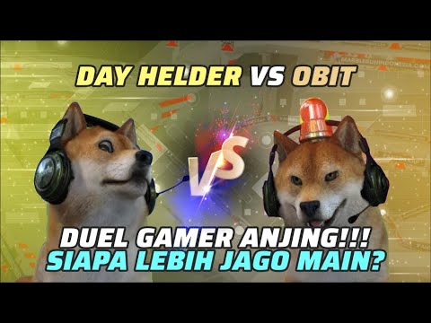 Helder vs Obit: Duel Gamer Anjing Seru! 🏆