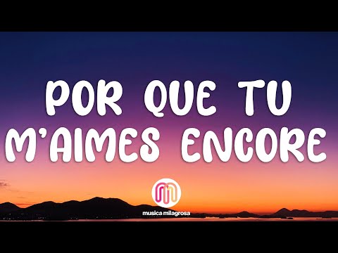 Céline Dion - Pour Que Tu M'aimes Encore (Lyrics)