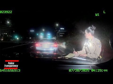 Police Chase Non English Speaking Driver In San Diego California
