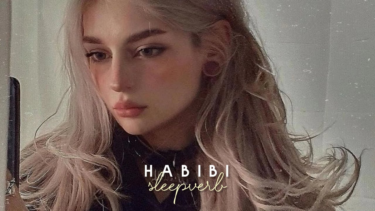 Habibi by Ricky Rich & ARAM Mafia (Slowed + Reverb) 🎶