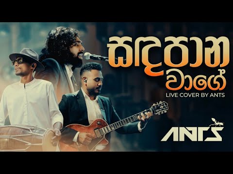 Sanda Pana Wage Dilenne (සඳ පාන වාගේ දිලෙන්නේ) - Rookantha Goonatillake| Ants Live Cover