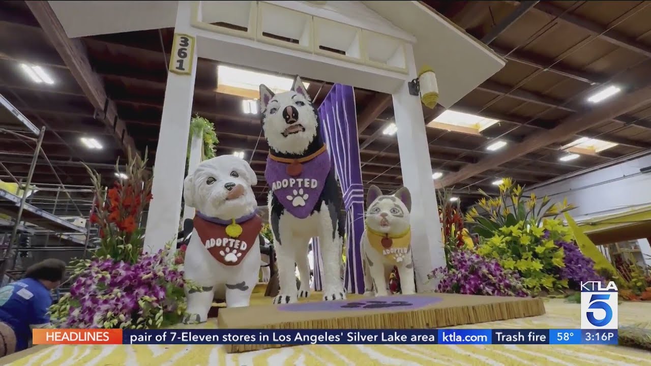 Volunteers Finish 2025 Rose Parade Floats ๐ธ