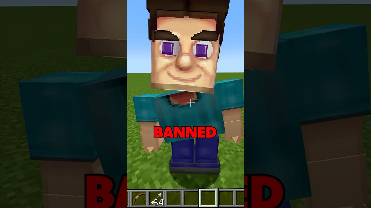 Steve Minecraft Mod Banned 🚫