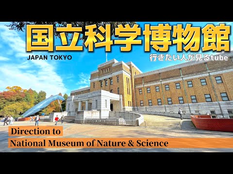 🐋【4K】国立科学博物館へご案内【行き方アクセス|上野駅|上野公園】Direction to National Museum of Nature & Science🇯🇵TOKYO Travel