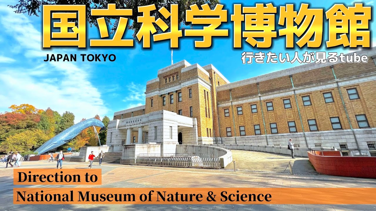 【4K映像】国立科学博物館への行き方とアクセスガイド🚶‍♂️