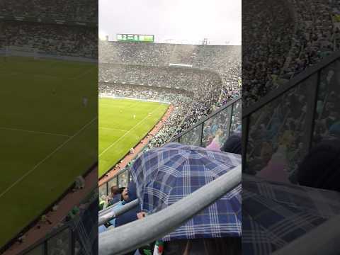 Cheering in the rain ☔ vs Mallorca (04.11.2023) #realbetis #betis #sevilla #football #footballfans