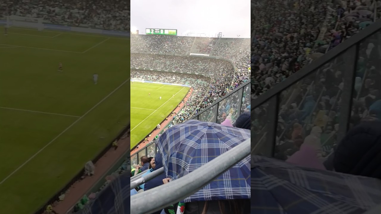 Epic Rainy Day Celebration: Betis Fans Cheer in Mallorca 🌧️