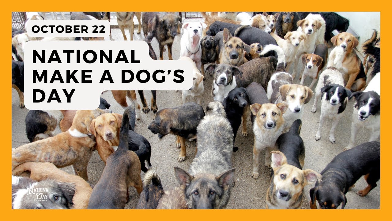 Celebrate National Make A Dog's Day 🐶 - October 22
