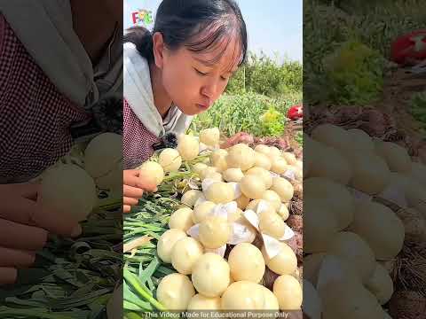 Chinese Most delicious Fruits 🥭 #shorts