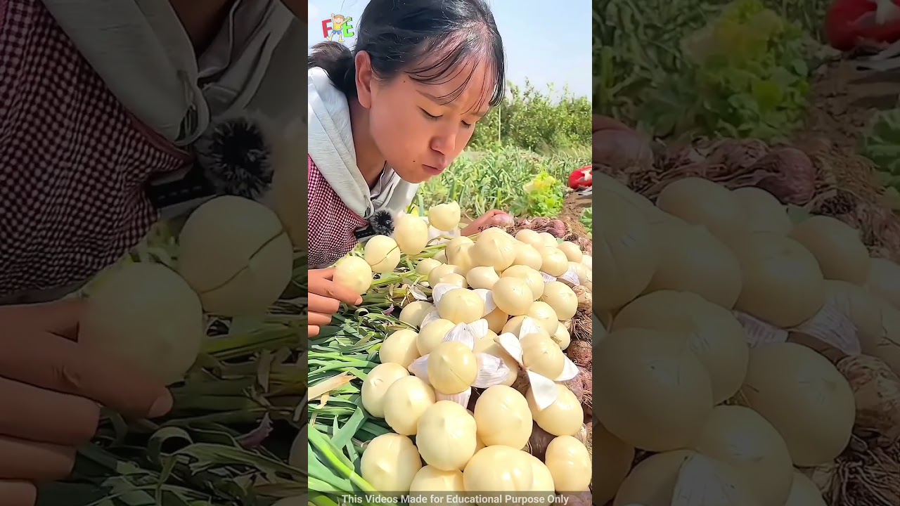 China's Top Delicious Fruits π₯