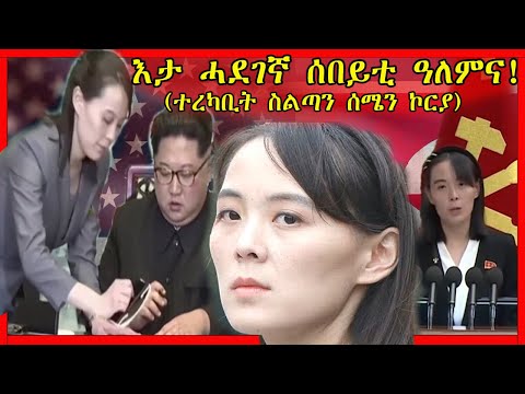 🛑እታ ሓደገኛ ሰበይቲ ዓለምና(ተረካቢት ስልጣን ሰሜን ኮርያ | yikalo tv | neshnesh tv | adu blina | Tefetawi talkshow 🛑
