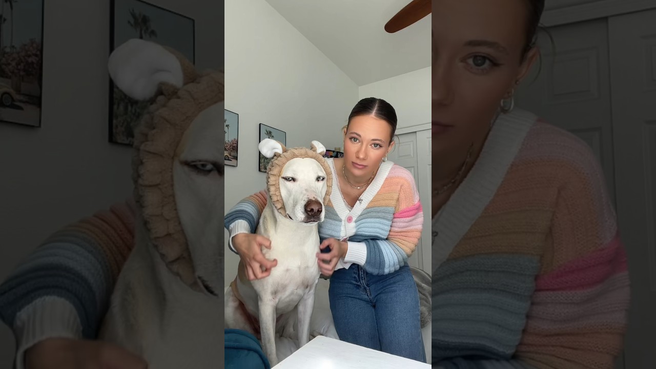 Giving my dog a relaxing spa day✨#dogshorts #dog #dogmom #pets #petlover #dogowner #beauty #skincare