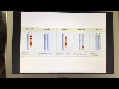 Rappels du cours de 3ème