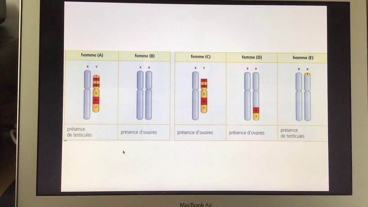 Rappels Essentiels du Cours de 3ème pour Réussir 💡