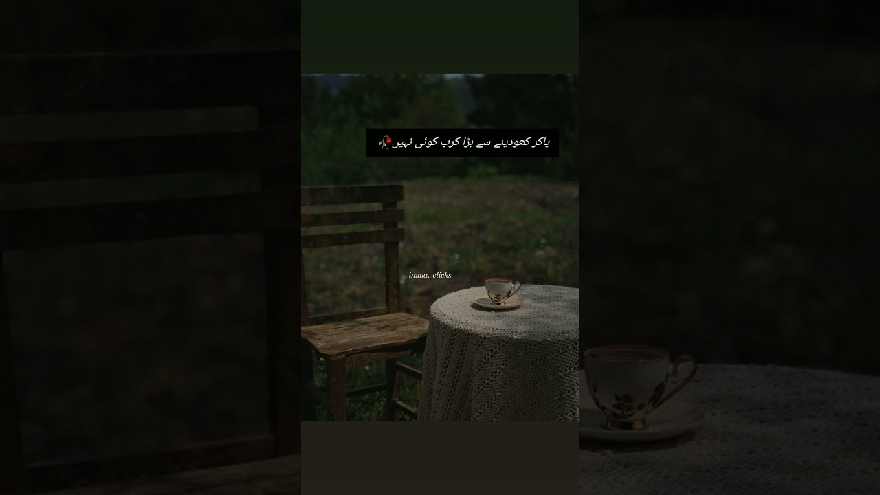 Discover the Beauty of Love Through Poetry & Photography 📖✨