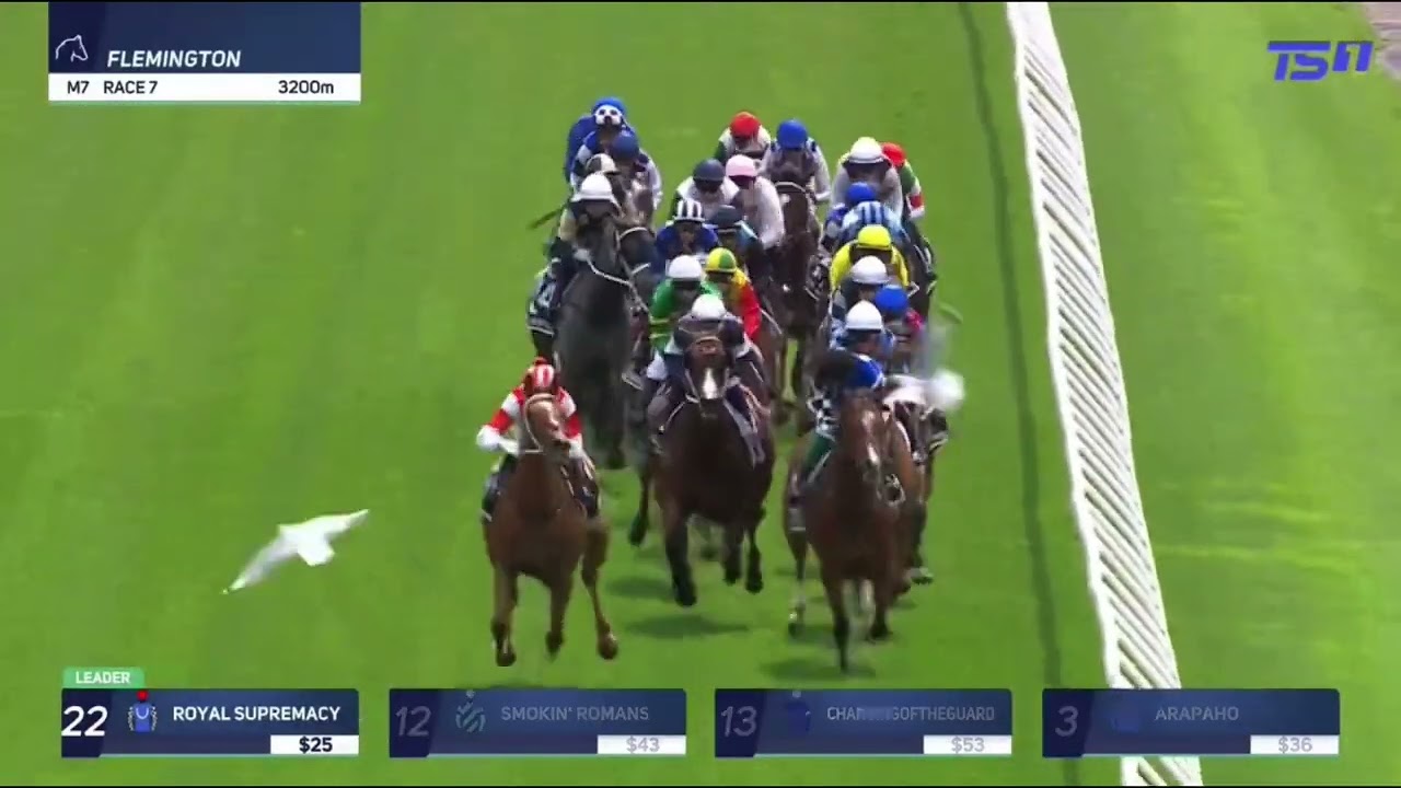 Melbourne Cup 2025 | Half Yours - Jamie Melham 🏆