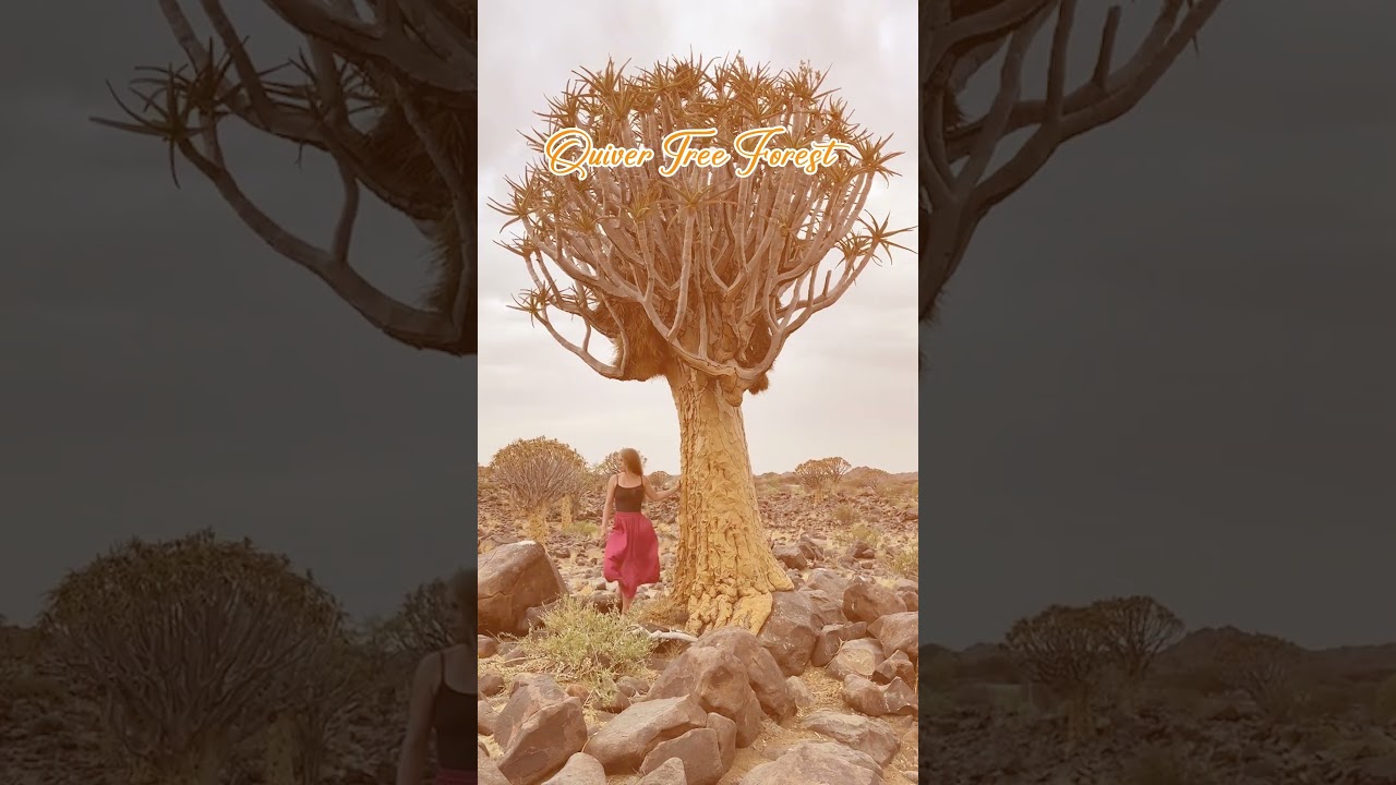 Discover Tunis & Namibia: Ultimate Travel Guide 2025 🌍