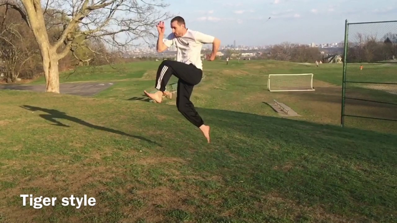 Master Level Forms Practice 🥋