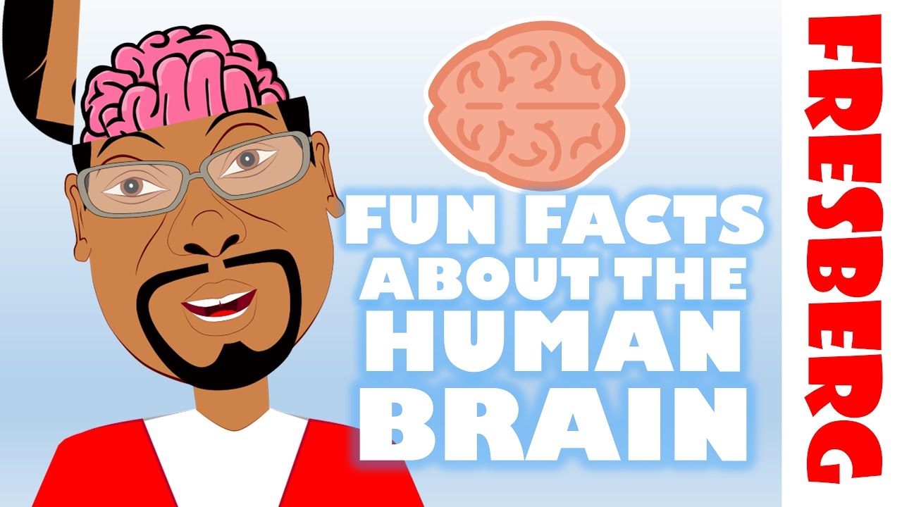 Brain Facts: Amazing Insights 🧠