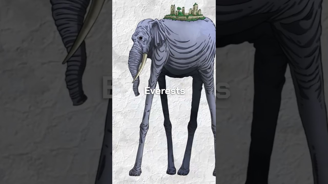 Top 5 Tallest Characters in One Piece 🏴‍☠️