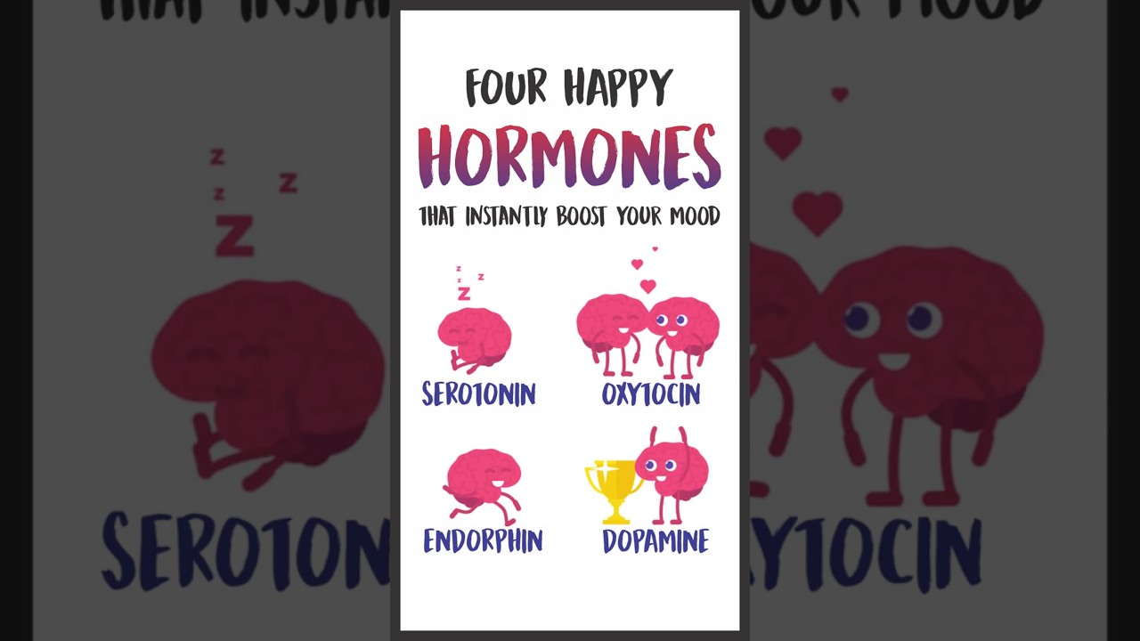 4 Happy Hormones to Boost Your Mood 😊