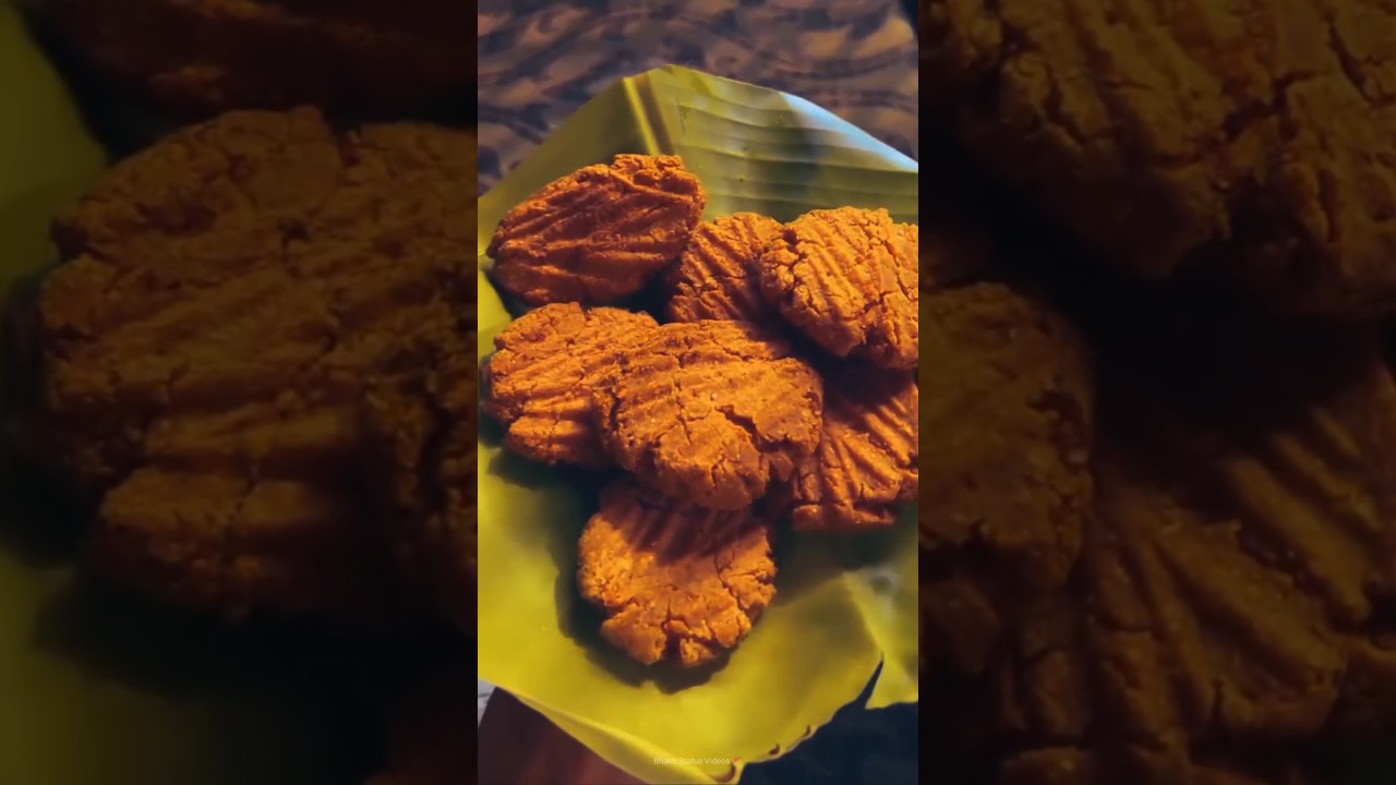 छठ पूजा 2024: खास वीडियो और स्टेटस 🚩 जल्द ही आ रहा है!