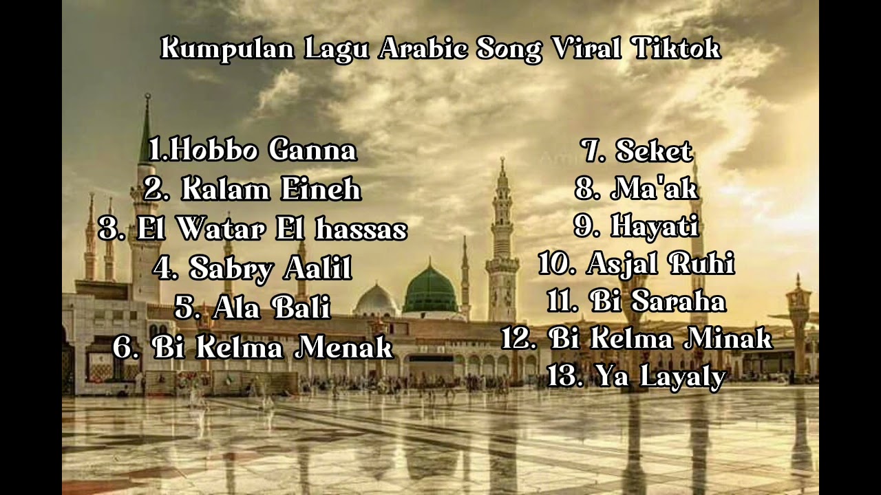 Top Arabic TikTok Songs of 2025 🎶