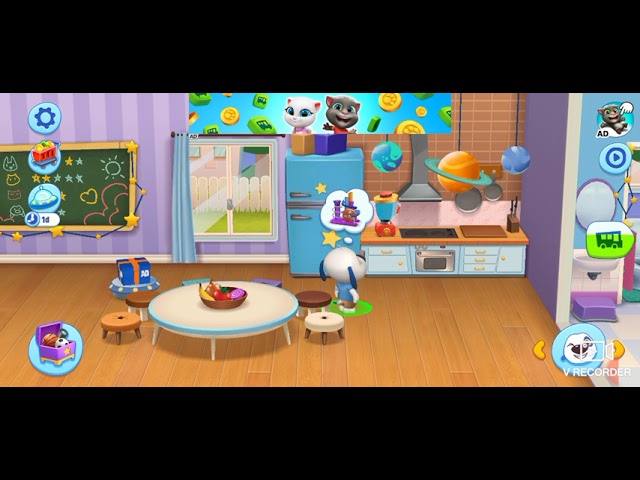 Catones Videos Review 🎥