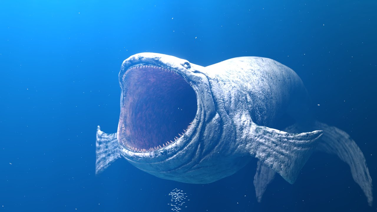 The Bloop 2024: Found Footage & Secrets 🌊